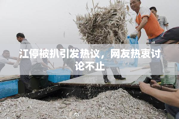 江停被扒引发热议，网友热衷讨论不止