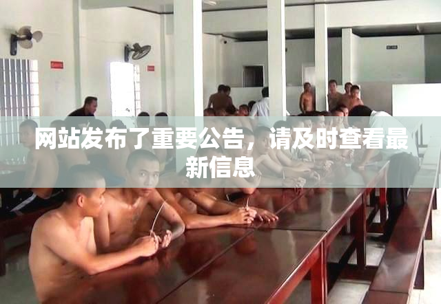网站发布了重要公告，请及时查看最新信息