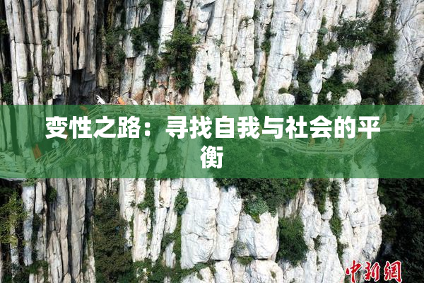 变性之路：寻找自我与社会的平衡