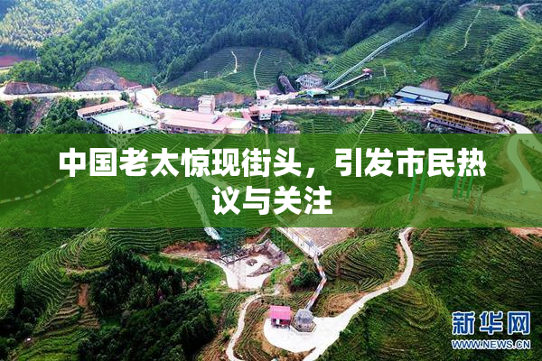 中国老太惊现街头，引发市民热议与关注