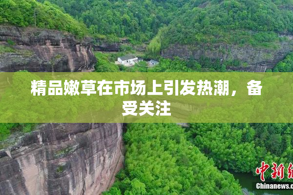 精品嫩草在市场上引发热潮，备受关注