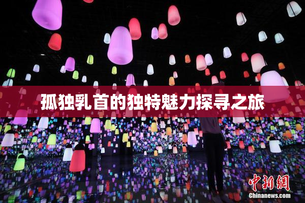孤独乳首的独特魅力探寻之旅