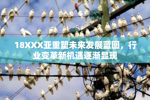 18XXX亚重塑未来发展蓝图，行业变革新机遇逐渐显现