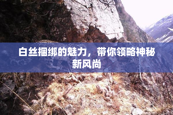 白丝捆绑的魅力，带你领略神秘新风尚