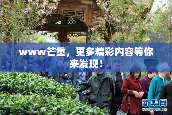 www芒重，更多精彩内容等你来发现！