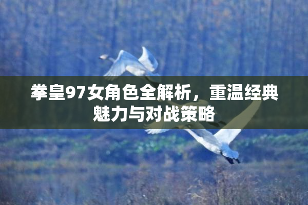 拳皇97女角色全解析，重温经典魅力与对战策略