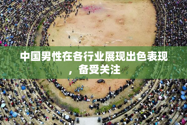 中国男性在各行业展现出色表现，备受关注