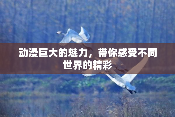 动漫巨大的魅力，带你感受不同世界的精彩