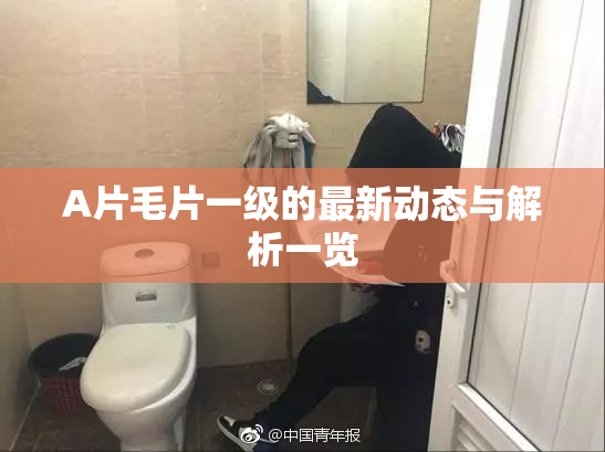 A片毛片一级的最新动态与解析一览