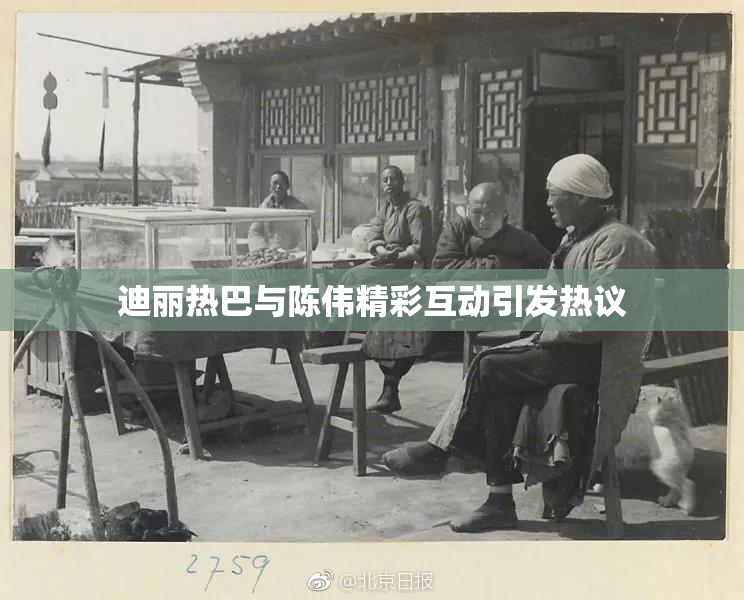 迪丽热巴与陈伟精彩互动引发热议