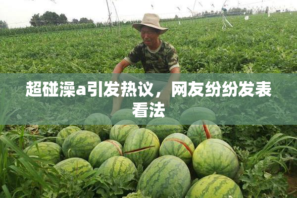 超碰澡a引发热议，网友纷纷发表看法