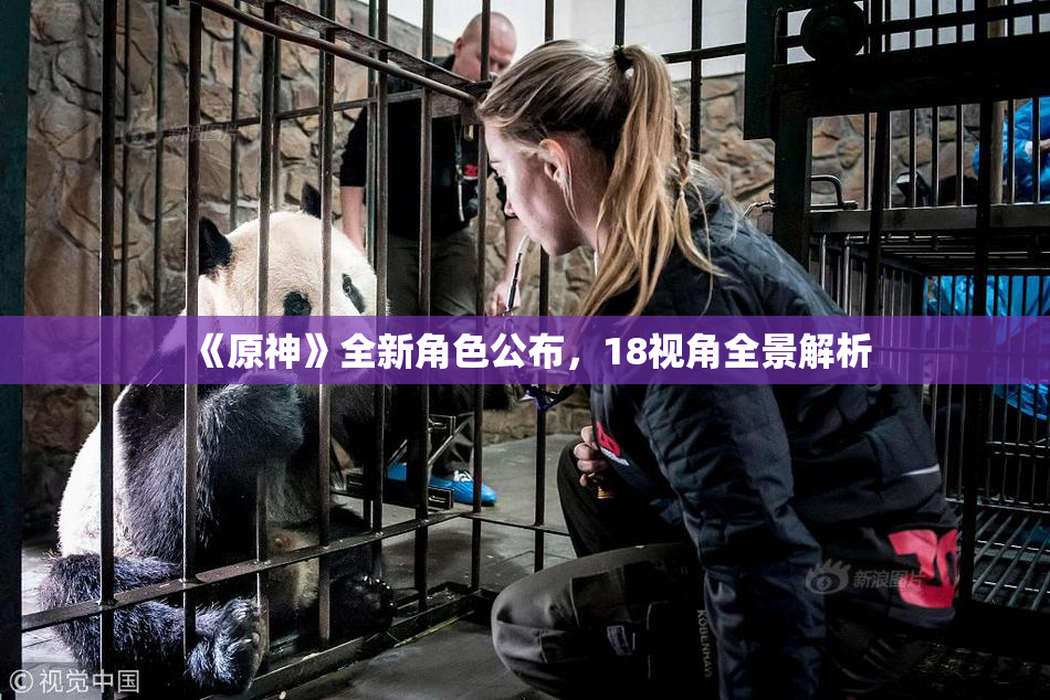 《原神》全新角色公布，18视角全景解析