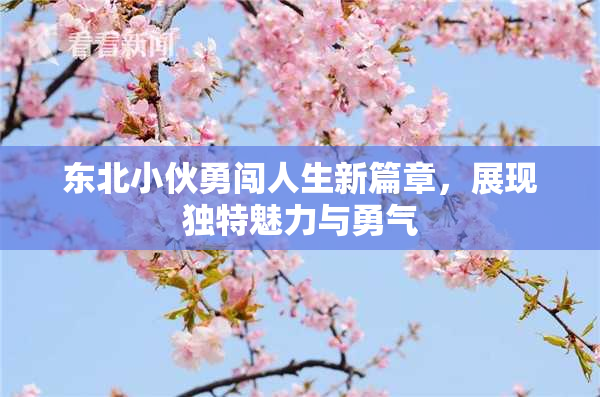 东北小伙勇闯人生新篇章，展现独特魅力与勇气