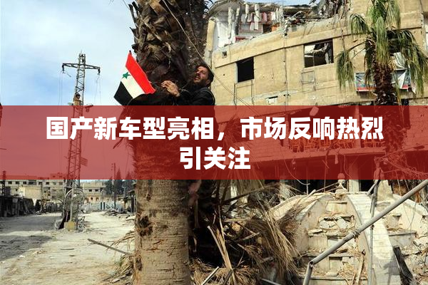 国产新车型亮相，市场反响热烈引关注