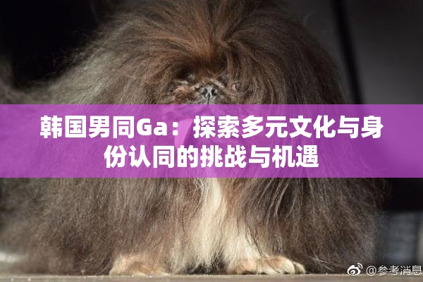 韩国男同Ga：探索多元文化与身份认同的挑战与机遇