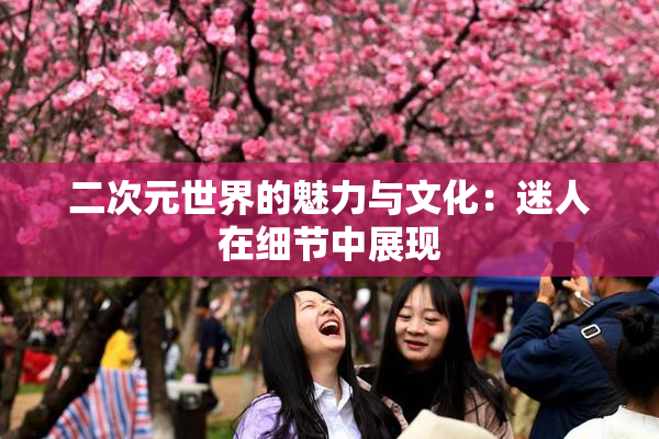 二次元世界的魅力与文化：迷人在细节中展现