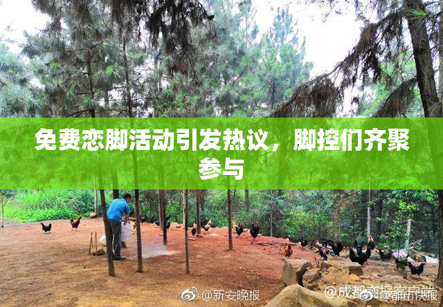 免费恋脚活动引发热议，脚控们齐聚参与