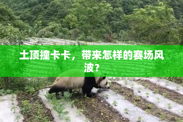 土顶撞卡卡，带来怎样的赛场风波？