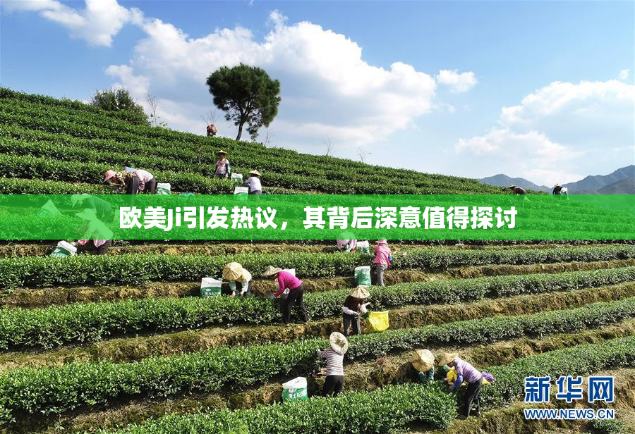 欧美Ji引发热议，其背后深意值得探讨