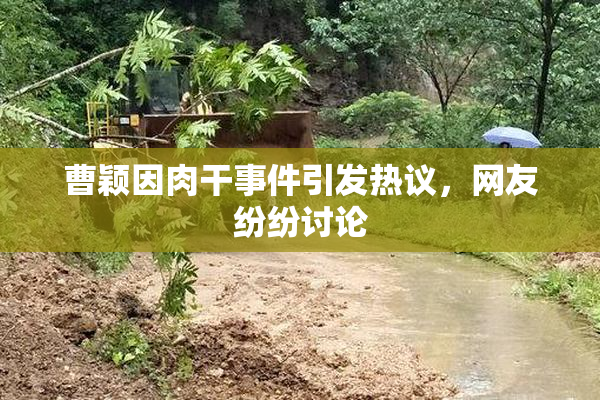 曹颖因肉干事件引发热议，网友纷纷讨论