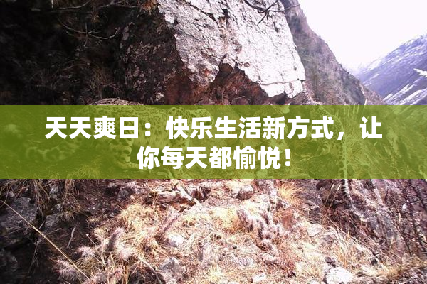 天天爽日：快乐生活新方式，让你每天都愉悦！