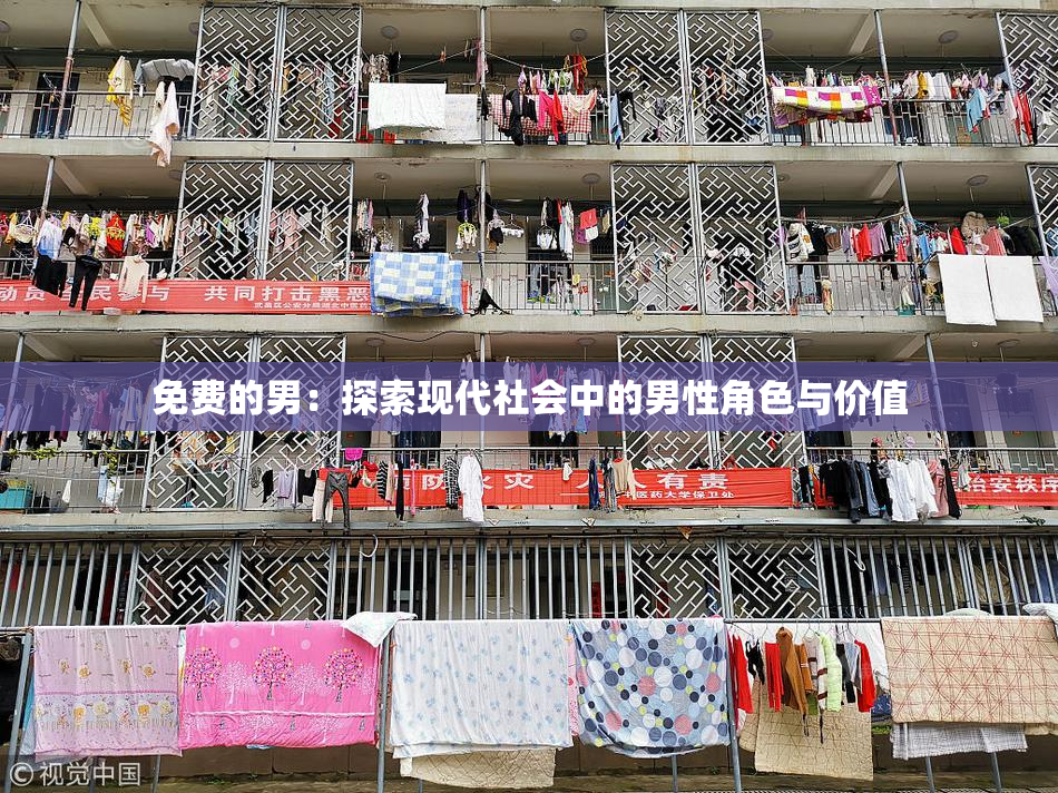免费的男：探索现代社会中的男性角色与价值