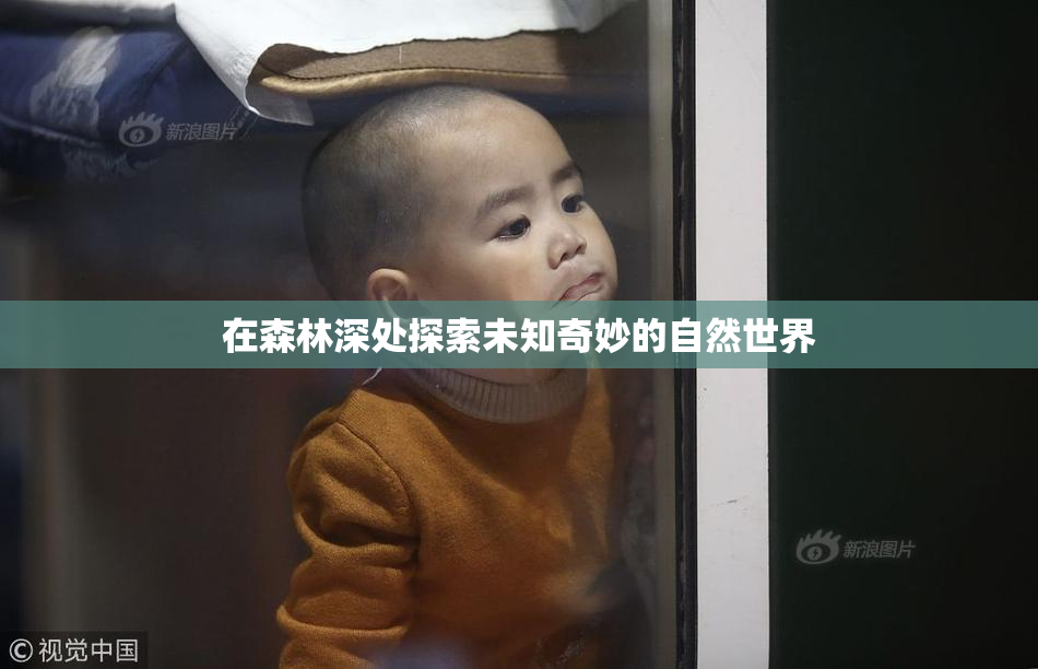在森林深处探索未知奇妙的自然世界