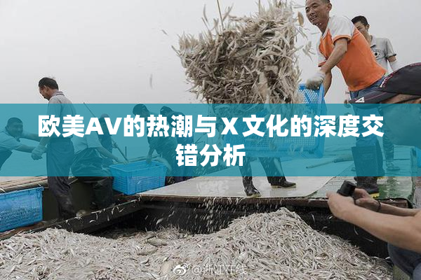 欧美AV的热潮与Ⅹ文化的深度交错分析