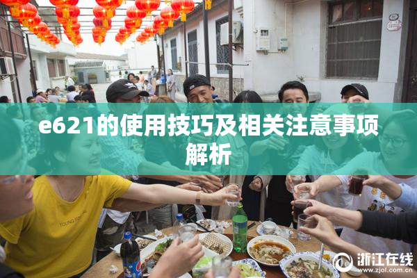 e621的使用技巧及相关注意事项解析