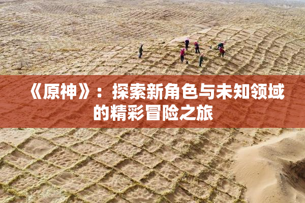 《原神》：探索新角色与未知领域的精彩冒险之旅