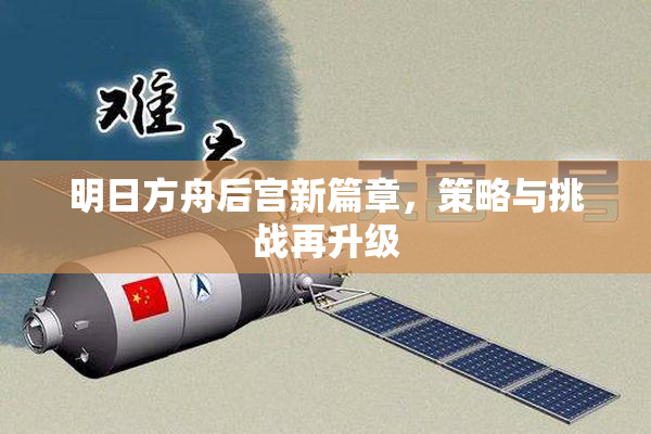 明日方舟后宫新篇章，策略与挑战再升级