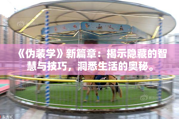 《伪装学》新篇章：揭示隐藏的智慧与技巧，洞悉生活的奥秘。