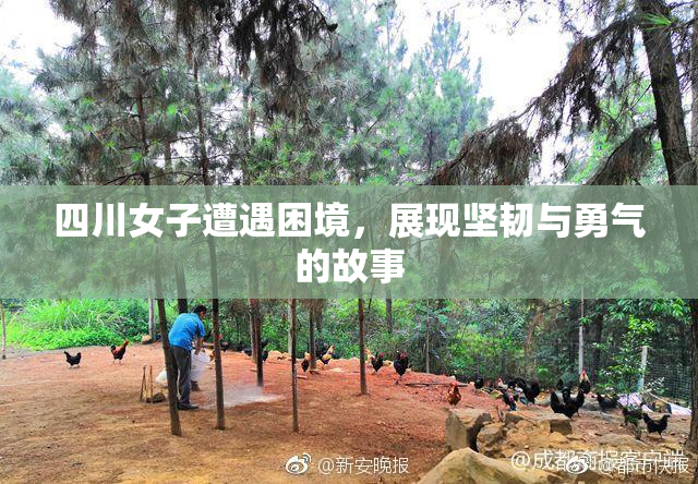 四川女子遭遇困境，展现坚韧与勇气的故事
