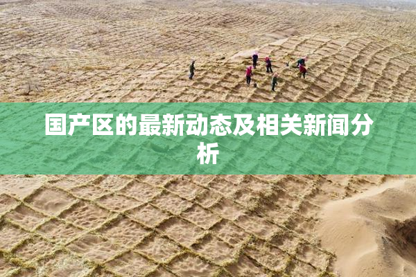 国产区的最新动态及相关新闻分析