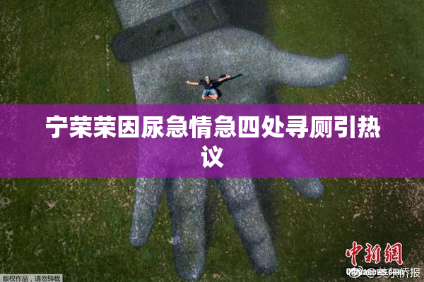 宁荣荣因尿急情急四处寻厕引热议