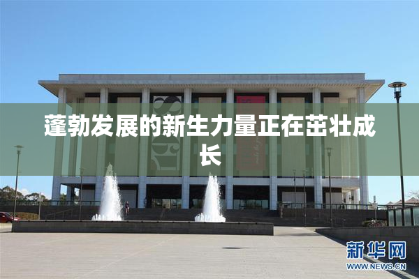蓬勃发展的新生力量正在茁壮成长