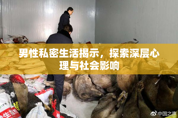 男性私密生活揭示，探索深层心理与社会影响
