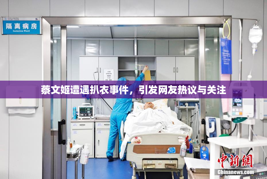 蔡文姬遭遇扒衣事件，引发网友热议与关注