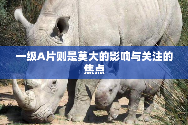 一级A片则是莫大的影响与关注的焦点