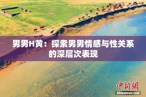 男男H黄：探索男男情感与性关系的深层次表现