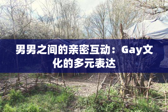 男男之间的亲密互动：Gay文化的多元表达
