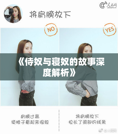 《侍奴与寝奴的故事深度解析》