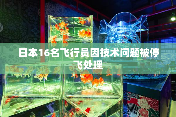 日本16名飞行员因技术问题被停飞处理