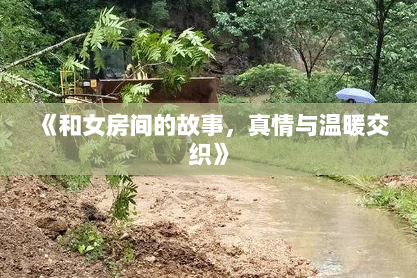 《和女房间的故事，真情与温暖交织》