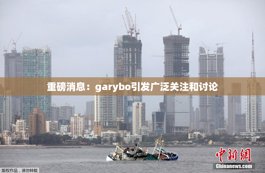重磅消息：garybo引发广泛关注和讨论