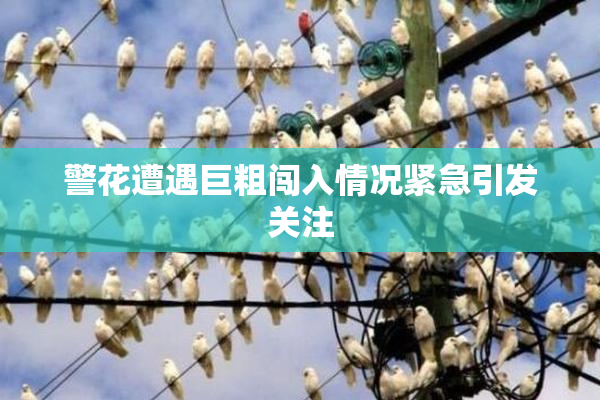 警花遭遇巨粗闯入情况紧急引发关注