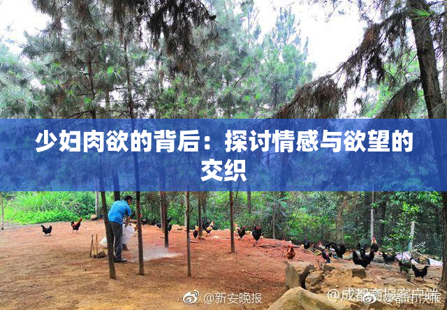 少妇肉欲的背后：探讨情感与欲望的交织
