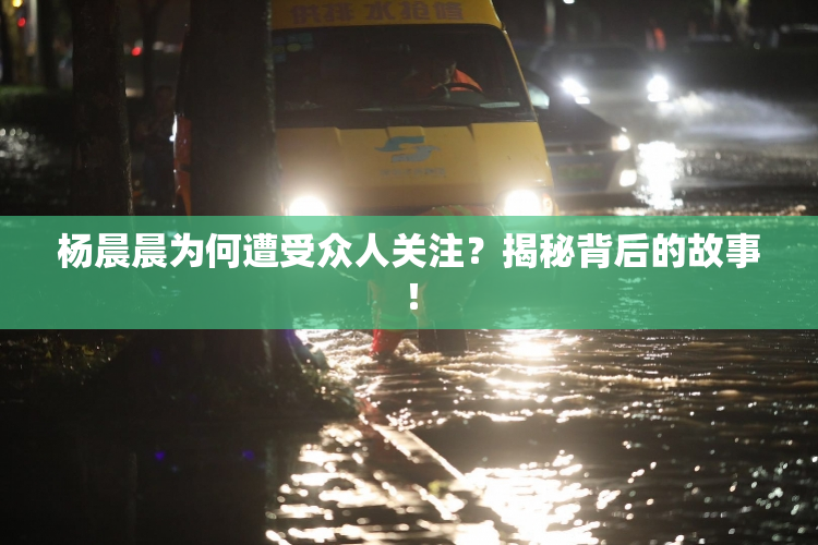 杨晨晨为何遭受众人关注？揭秘背后的故事！