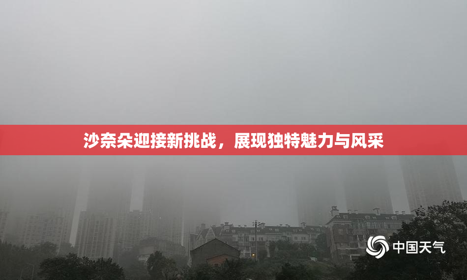 沙奈朵迎接新挑战，展现独特魅力与风采
