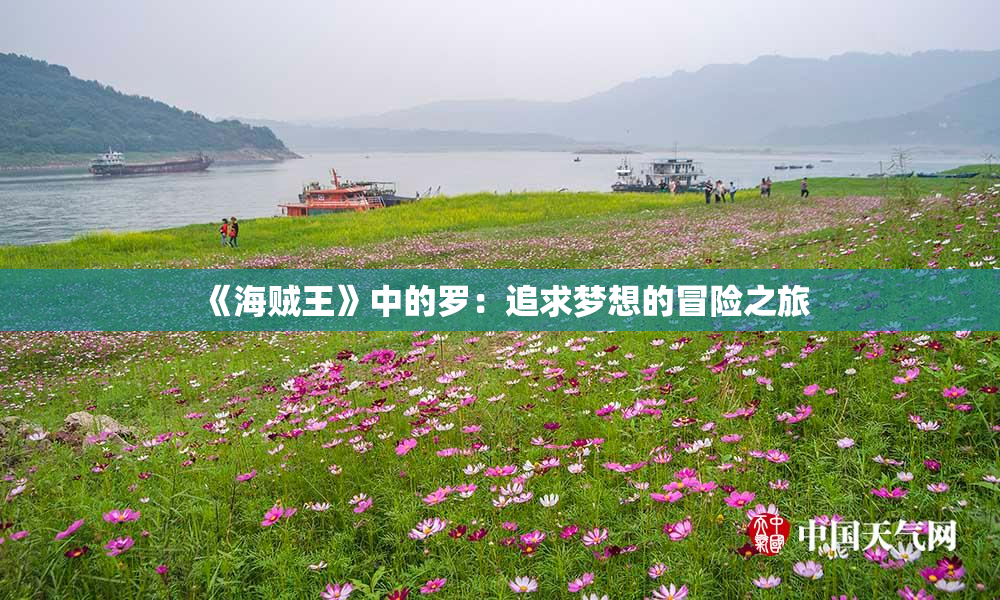 《海贼王》中的罗：追求梦想的冒险之旅
